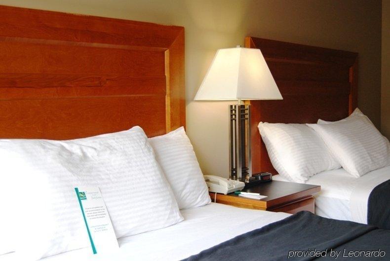 Quality Inn West Edmonton Rum bild